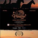 the caravan movie horses for sale1