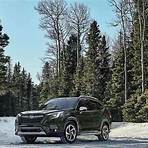 mark hodges md rochester ny reviews 2023 best suv1