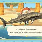 how many people use plenty of fish hatchery animal crossing ideas for waters edge landscape4