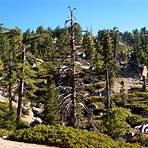 Lake Arrowhead, California, United States2