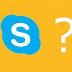 what does skype mean3