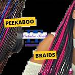 Companion Braids (band)4