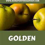 What is a Golden Delicious apple?4