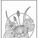 flor de lótus desenho colorida3