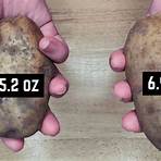 how much does a bag of russet potatoes weigh in ml4