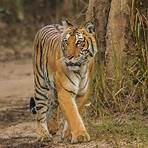 places to visit in jim corbett2