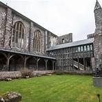 st davids kathedrale in wales4