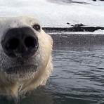 Polar Bear: Spy on the Ice Fernsehserie1