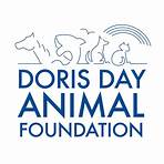 What is the Doris Day Pet Foundation?4