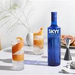 vodka skyy infusions3