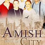 Expecting Amish movie4