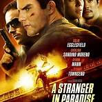 a stranger in paradise movie review rotten tomatoes3