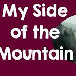 my side of the mountain movie questions2