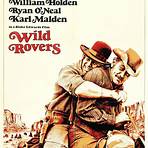 wild rovers review4