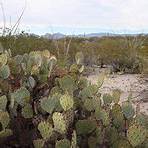 Rincon Mountain Visitor Center Tucson, AZ2