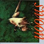 paddy mcaloon albums3
