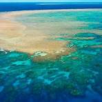 Great Barrier Reef filme2