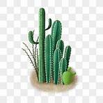 cactus png3