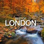 fall foliage london ontario news headlines2
