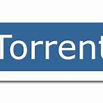 what is torrentz2 mean3