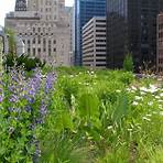 is the chicago city hall greenroof open hours today1
