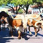 What to do in the Fort Worth Stockyards district?3