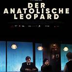 Der anatolische Leopard3