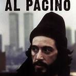 serpico sinopse1