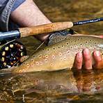 where can i buy lures and fly tying supplies online canada3