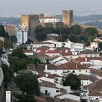 castelo de óbidos portugal2