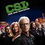 CSI: Crime Scene Investigation4