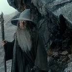 The Hobbit: The Desolation of Smaug4