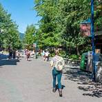 where is whistler mountain located2