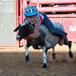 el dorado county fair3