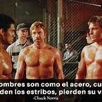chuck norris frases2