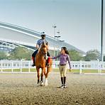 qatar equestrian4