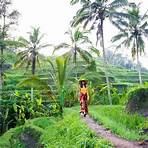 bali indonesia facts4