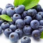 1 cup of blueberries1