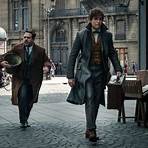 fantastic beasts and where to find them 25