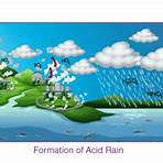 effects of acid rain2