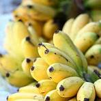 banana fruit wikipedia1