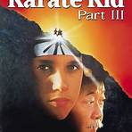 The Karate Kid, Part III2