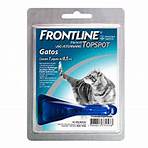 frontline gatos bula4