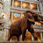 national museum of natural history tickets4