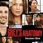 grey's anatomy first season1