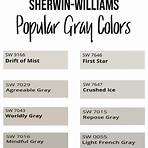 how popular is gray matters color2