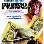 Django the Avenger movie2