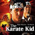 the karate kid telugu movie2