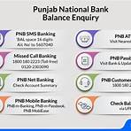 online pnb net banking1