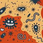schädliche bakterien beispiele3